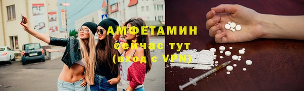 ГАЛЛЮЦИНОГЕННЫЕ ГРИБЫ Касимов