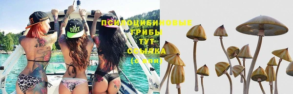 твердый Карталы