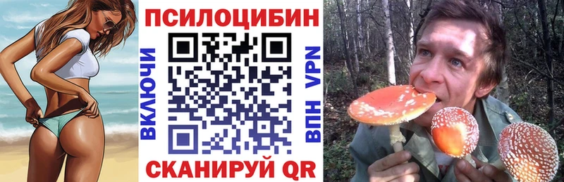 Купить закладки Корсаков Псилоцибиновые грибы Cubensis